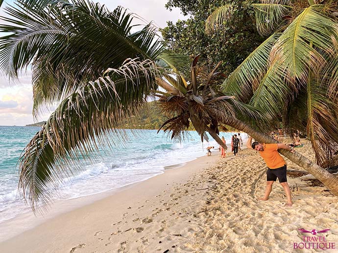 Čovek pozira ispod palme na plaži na Sejšelima