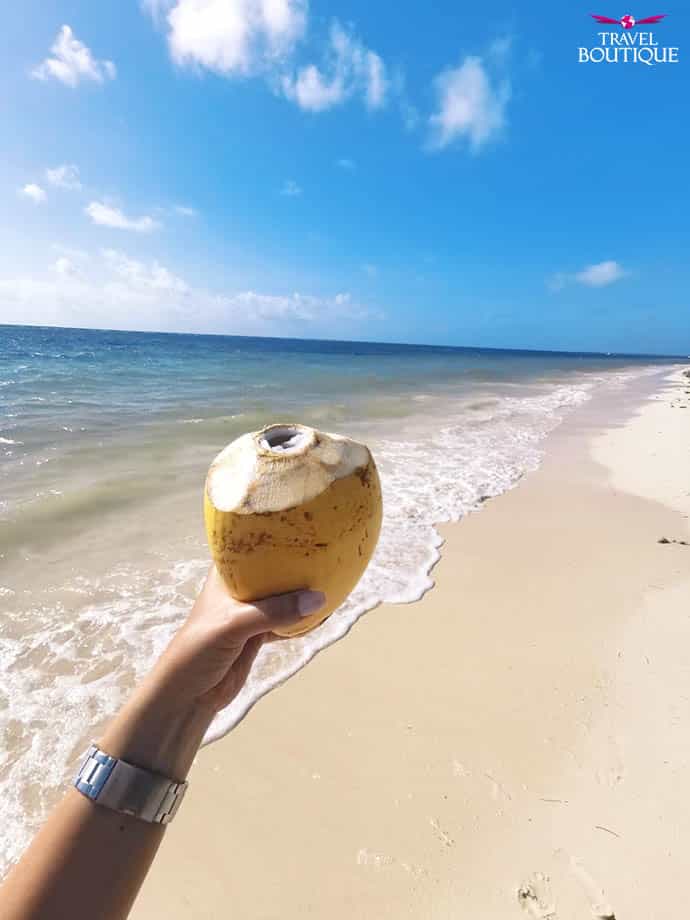 Meksiko kokos u ruci
