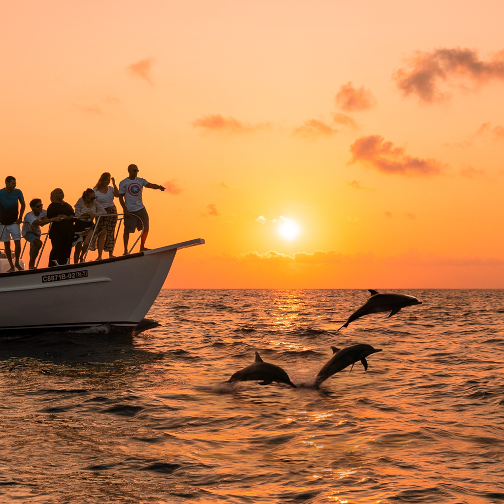 Veligandu Maldives Resort Island DELFINI