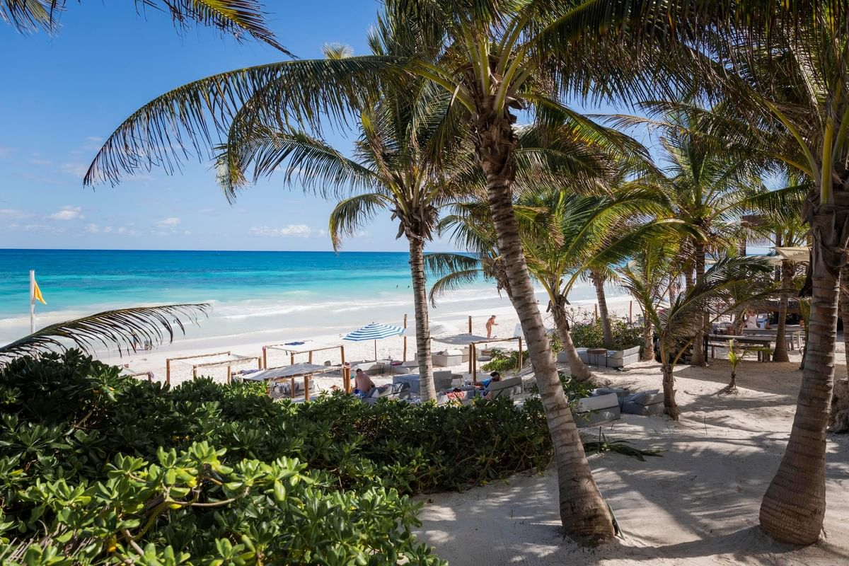 la-zebra-tulum