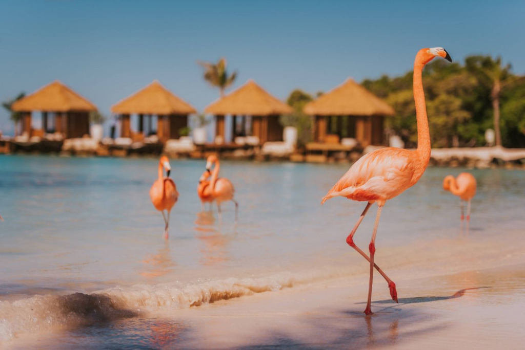 Renaissance Wind Creek Aruba Resort